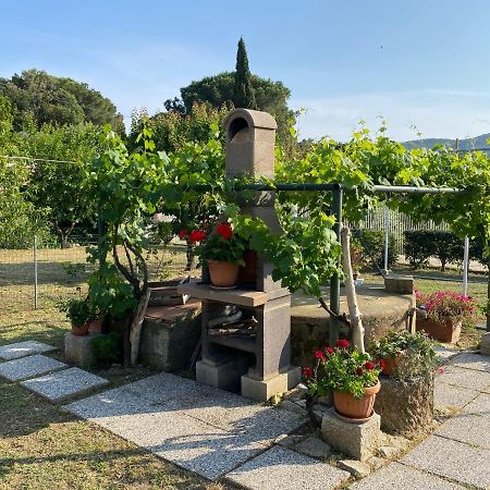 Villetta Di Rosa 프로키오 외부 사진